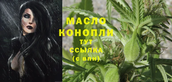 крисы Аркадак