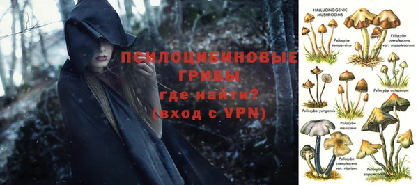 дживик Армянск