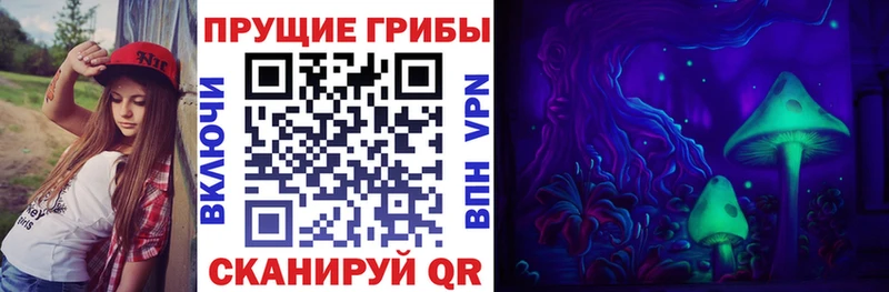 Галлюциногенные грибы Psilocybe  маркетплейс Telegram  Елабуга 