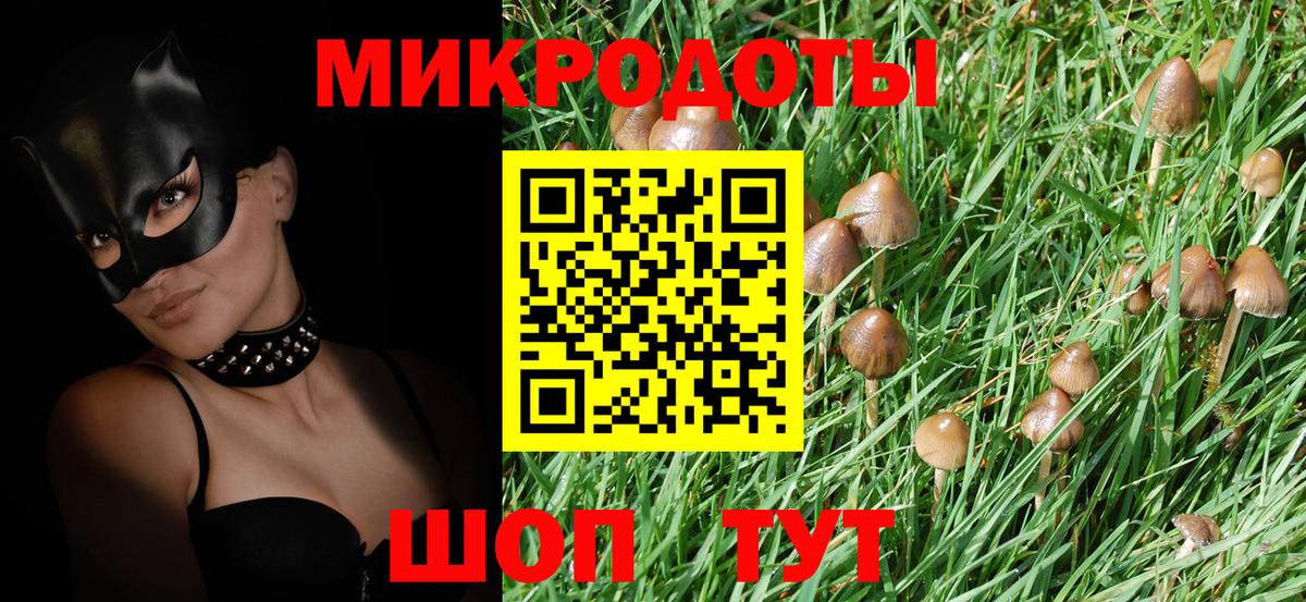 Елабуга  Галлюциногенные грибы GOLDEN TEACHER  Псилоцибиновые грибы Psilocybe  Вход с VPN 