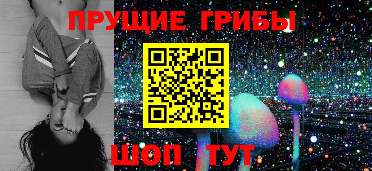 наркота  Елабуга  Галлюциногенные грибы Cubensis  Галлюциногенные грибы Cubensis 