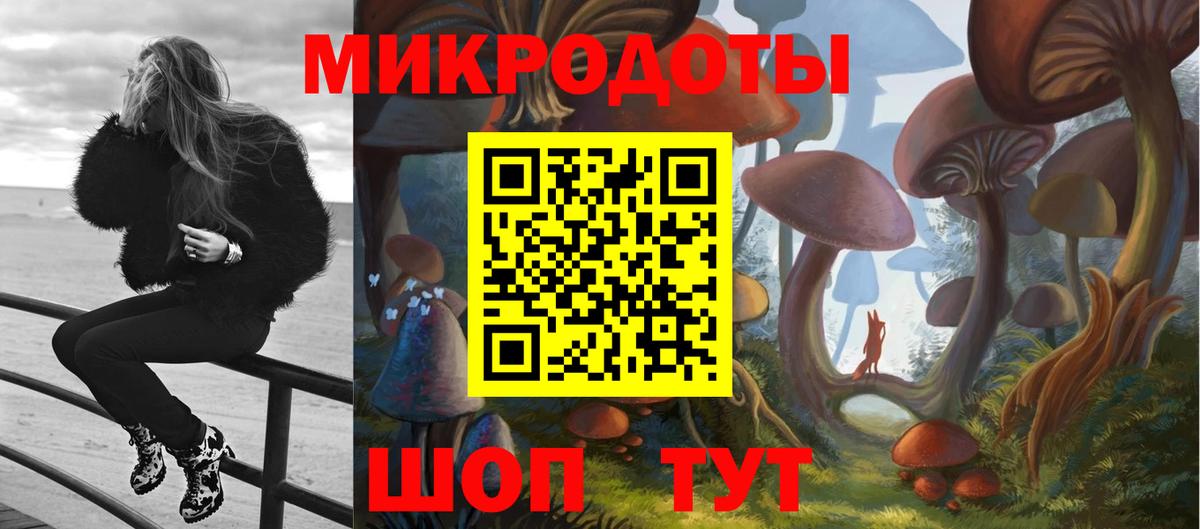 Псилоцибиновые грибы Psilocybe Елабуга