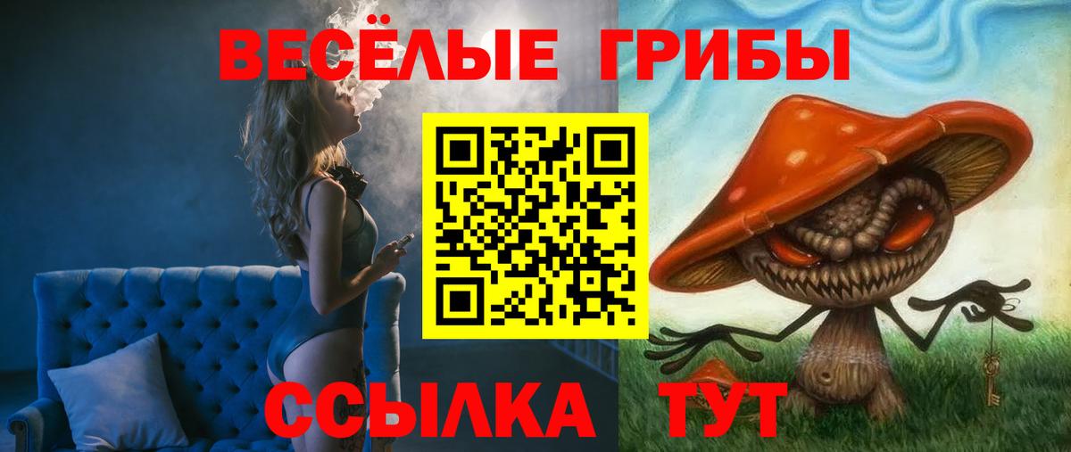 Галлюциногенные грибы Cubensis Елабуга