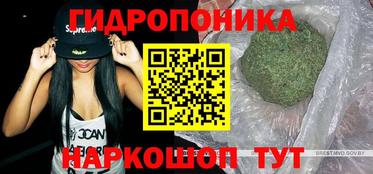 Бошки Шишки ГИДРОПОН  Марихуана план  Каннабис Amnesia  Каннабис индика  Елабуга 